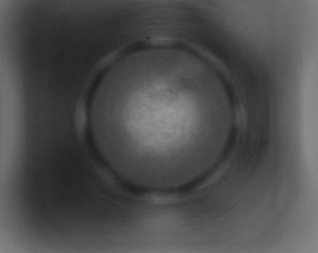 X0000100780733200807031231