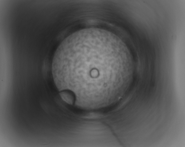 X0000100780737200807031231