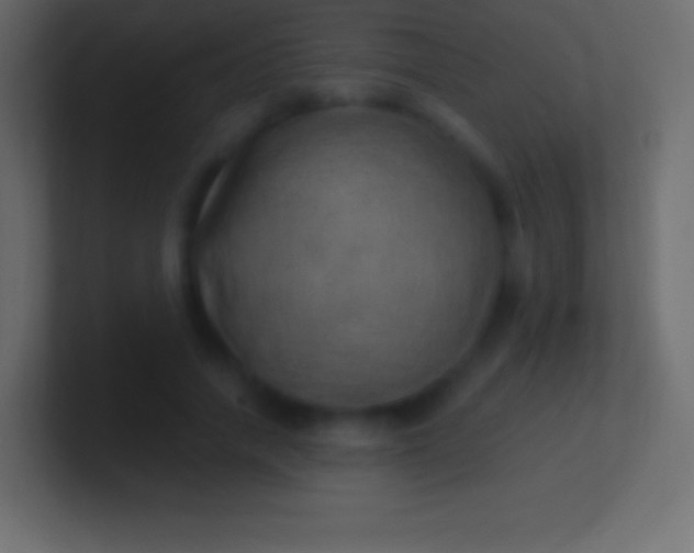 X0000100780738200807031231