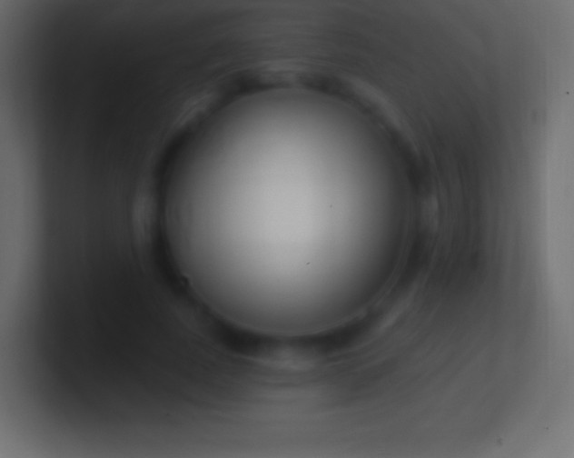 X0000100780739200807031231