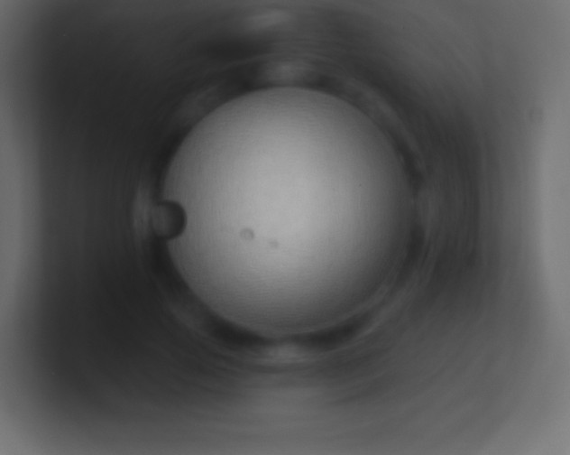 X0000100780741200807031231