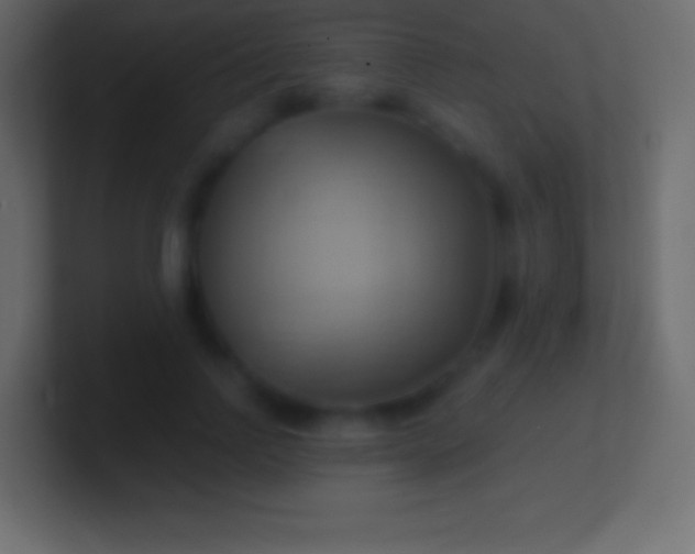 X0000100780742200807031231