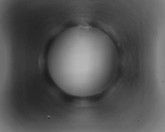 X0000100780743200807031231