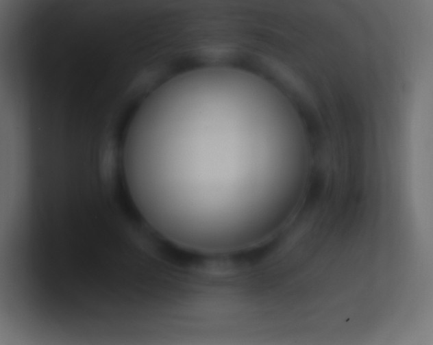 X0000100780744200807031231