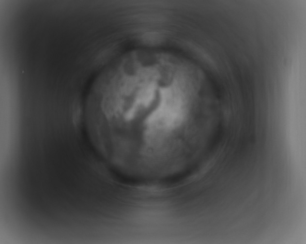 X0000100780745200807031231