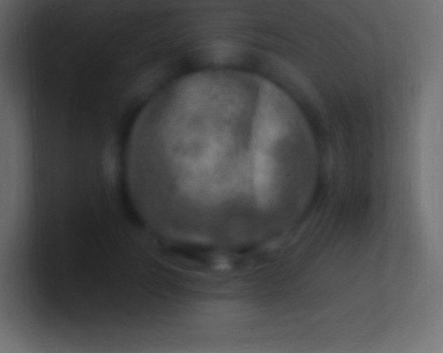 X0000100780746200807031231