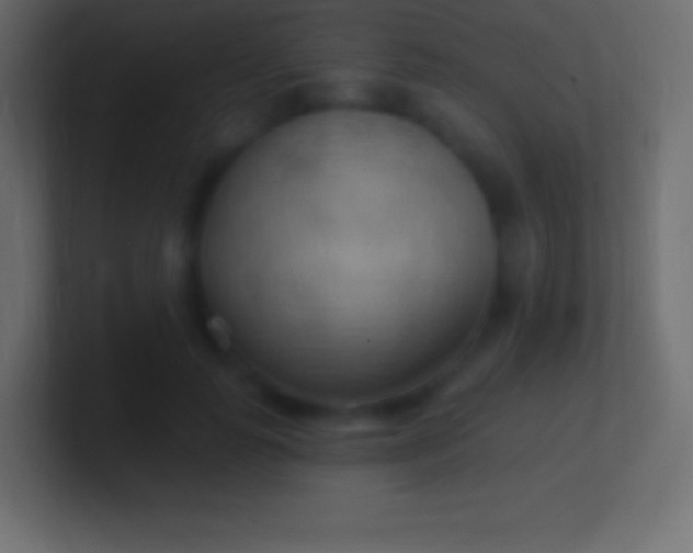 X0000100780747200807031231