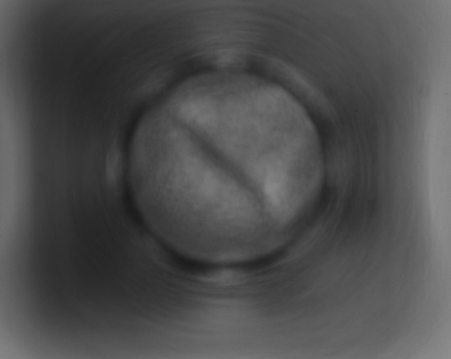 X0000100780748200807031231