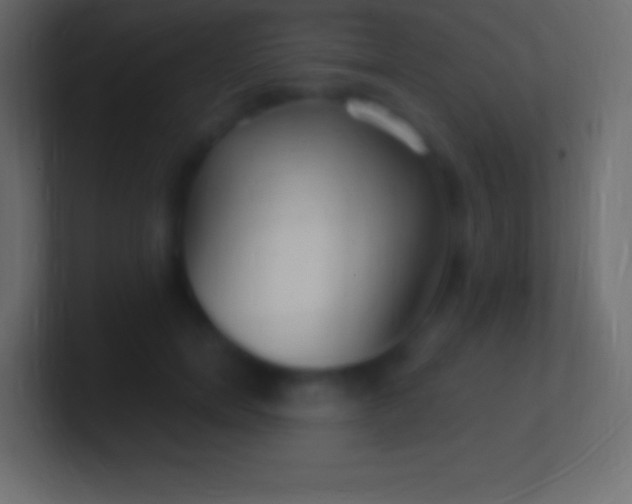 X0000100780750200807031231