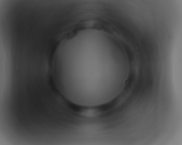 X0000100780754200807031231