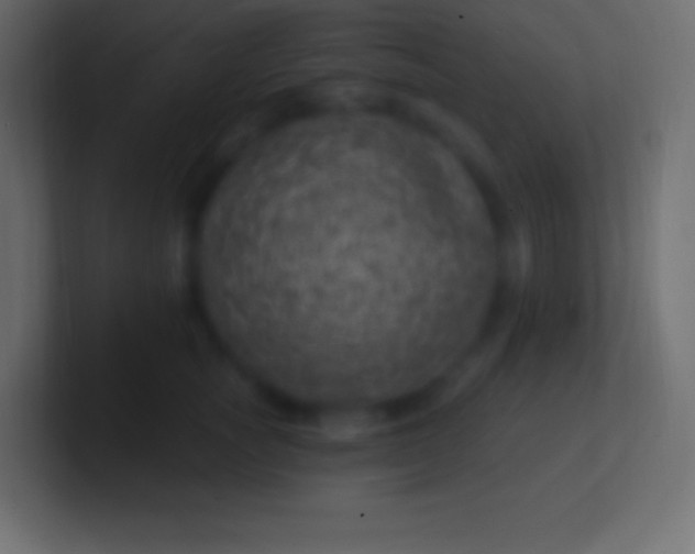 X0000100780757200807031231