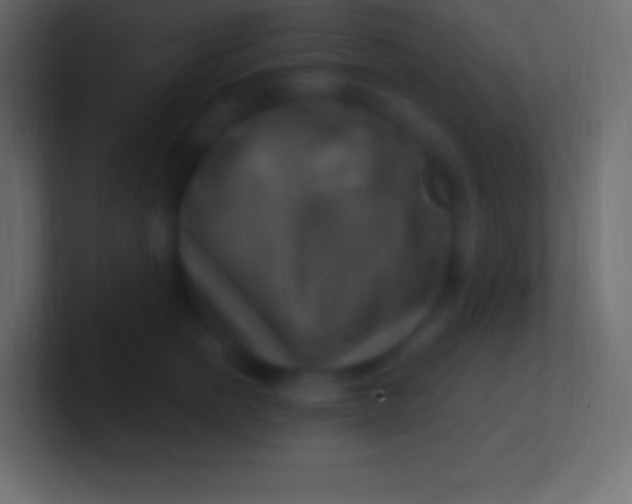 X0000100780758200807031231