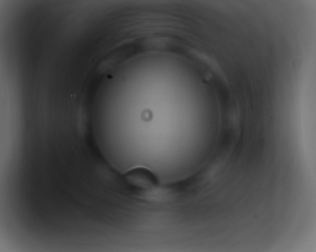 X0000100780759200807031231