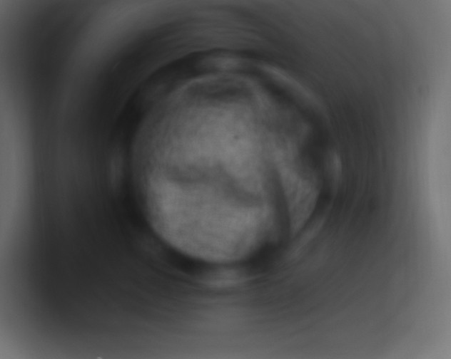 X0000100780760200807031231