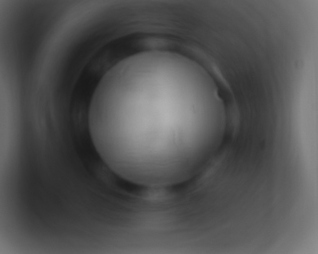 X0000100780762200807031231