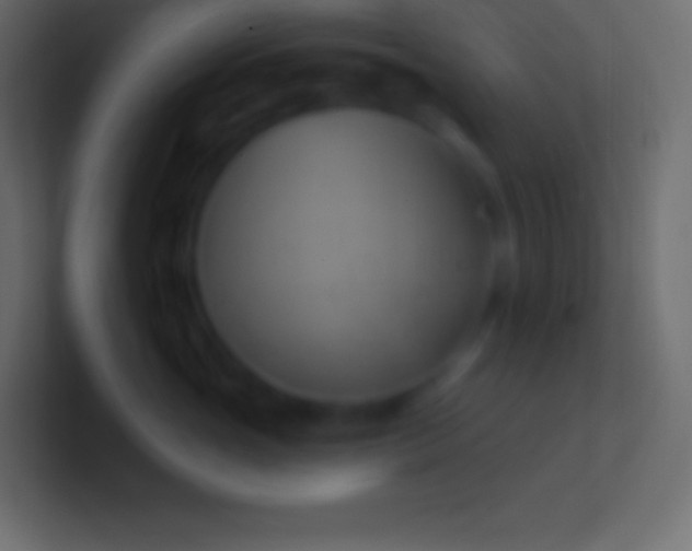 X0000100780765200807031231