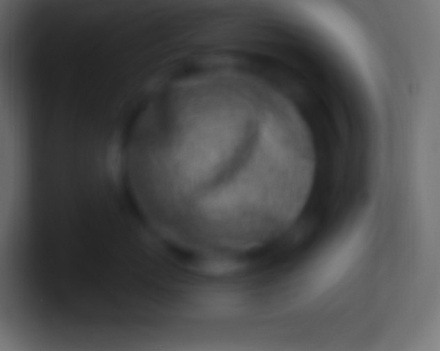 X0000100780767200807031231