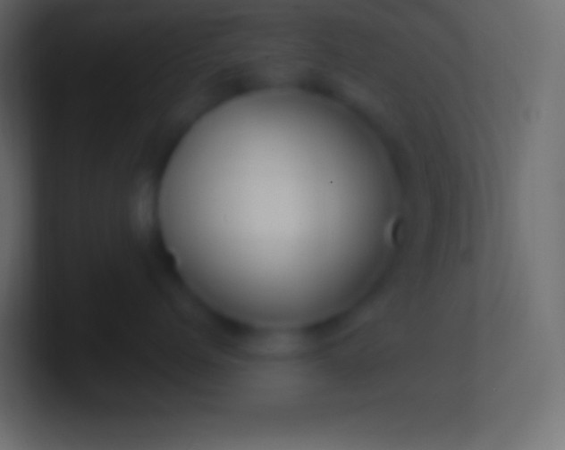 X0000100780768200807031231