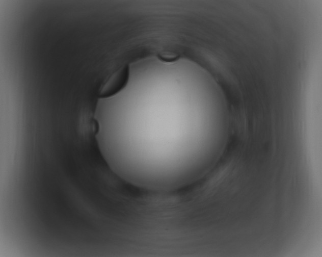 X0000100780770200807031231