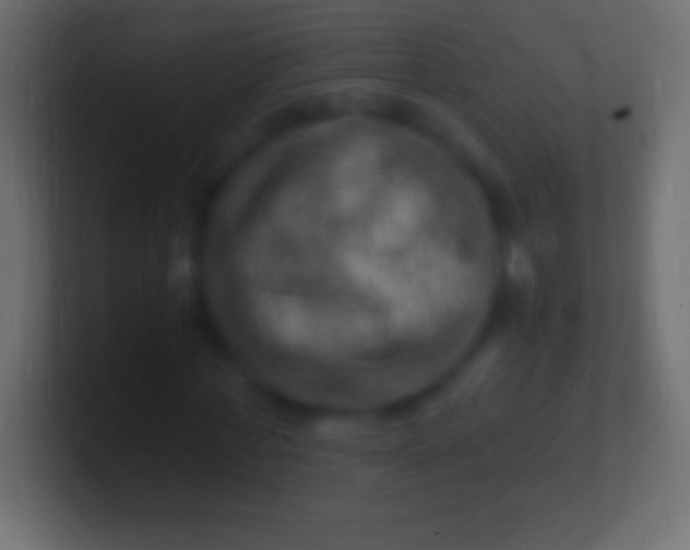 X0000100780771200807031231