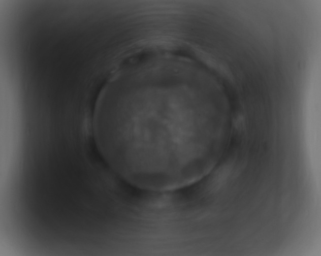 X0000100780772200807031230