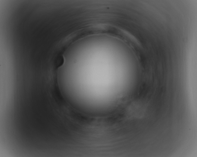 X0000100780773200807031230