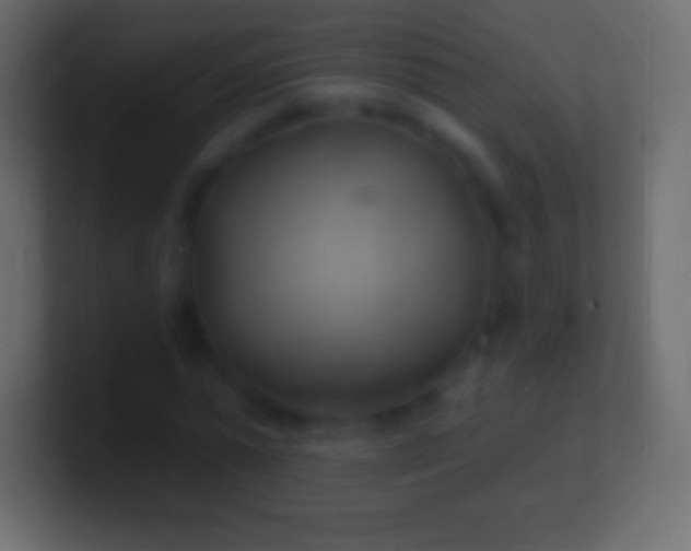 X0000100780775200807031230