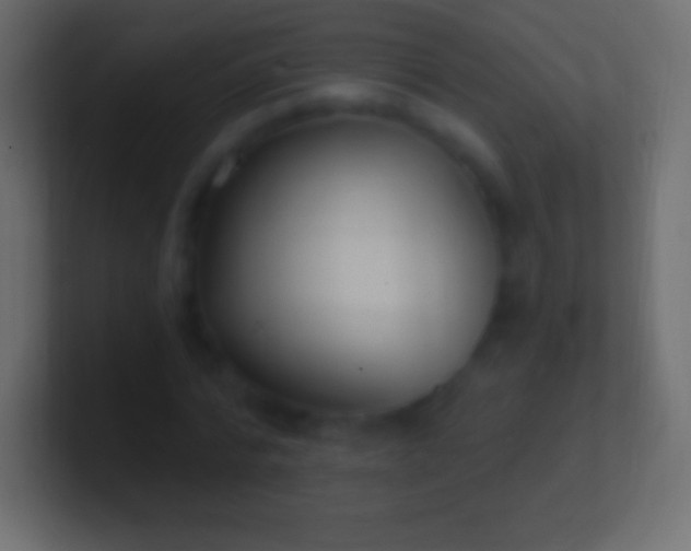 X0000100780776200807031230