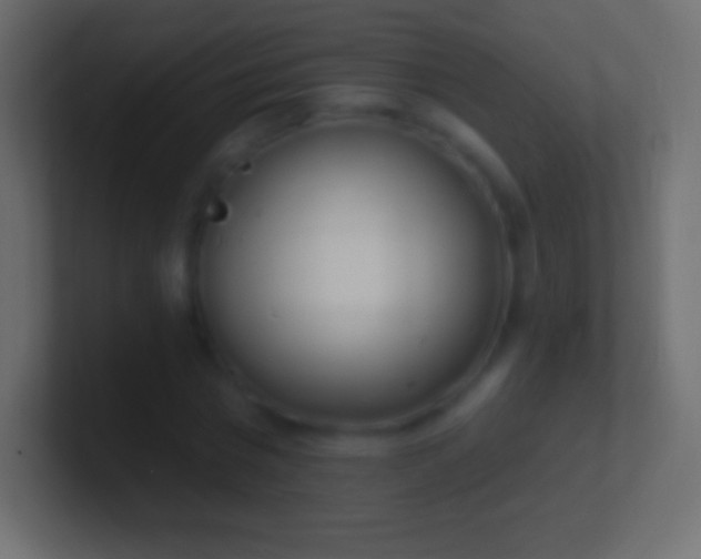 X0000100780777200807031230