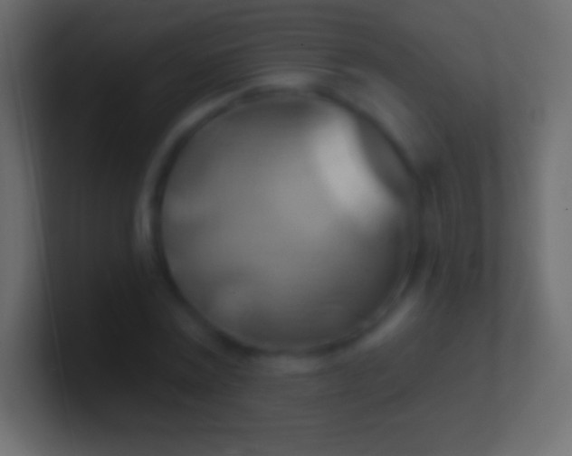 X0000100780779200807031230