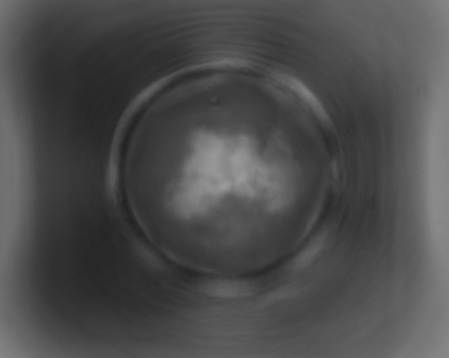 X0000100780780200807031230