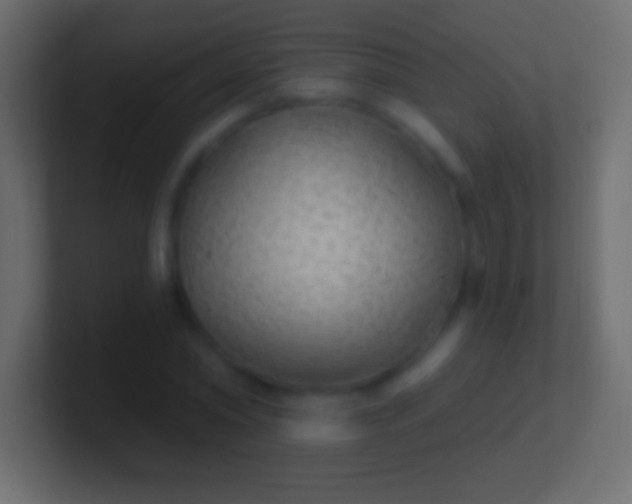 X0000100780782200807031230