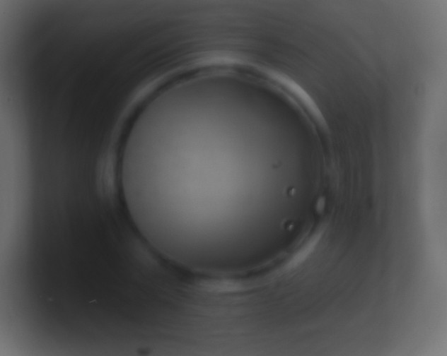 X0000100780783200807031230