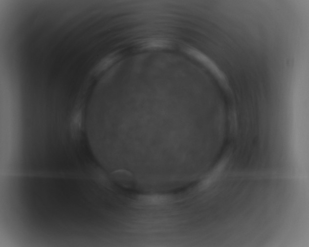 X0000100780785200807031230