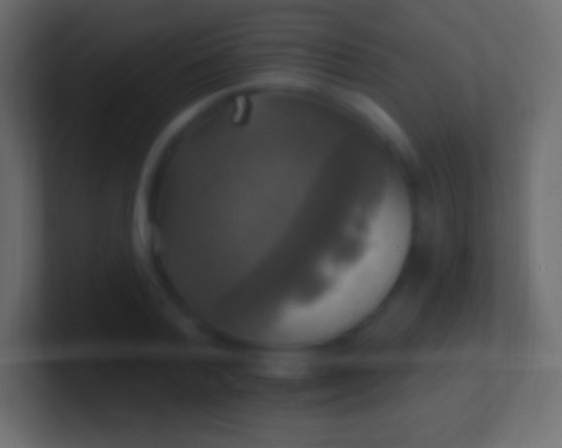 X0000100780788200807031230