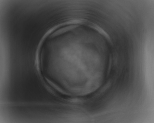 X0000100780792200807031230