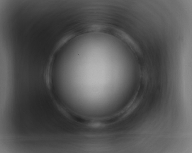 X0000100780794200807031230