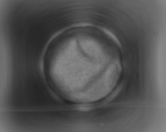 X0000100780797200807031230