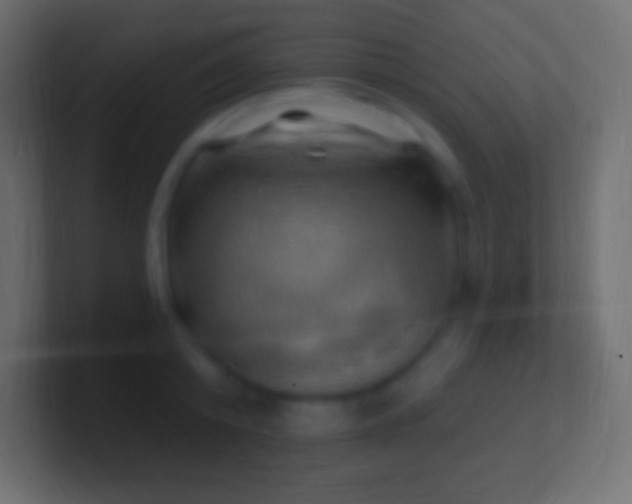 X0000100780800200807031230