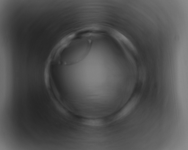 X0000100780802200807031230