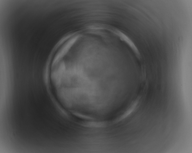 X0000100780803200807031230