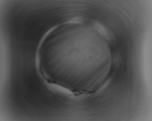 X0000100780804200807031230