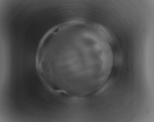 X0000100780812200807031230