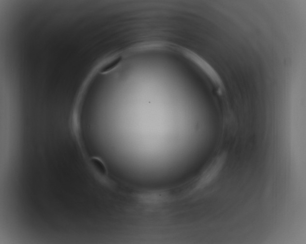 X0000100780813200807031230