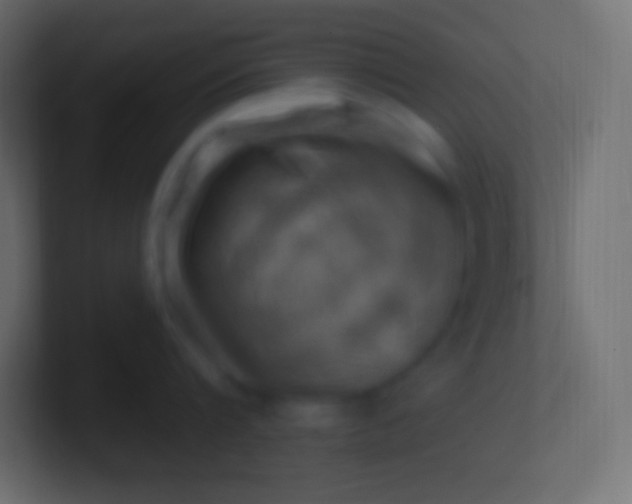 X0000100780816200807031230