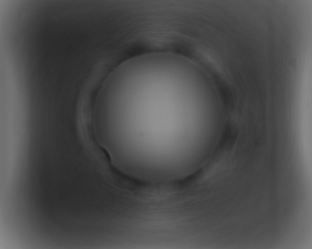 X0000100780817200807031229