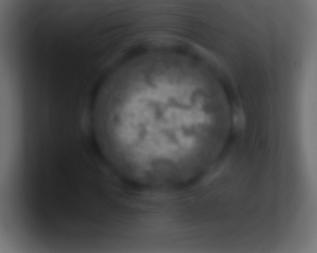 X0000100780819200807031229