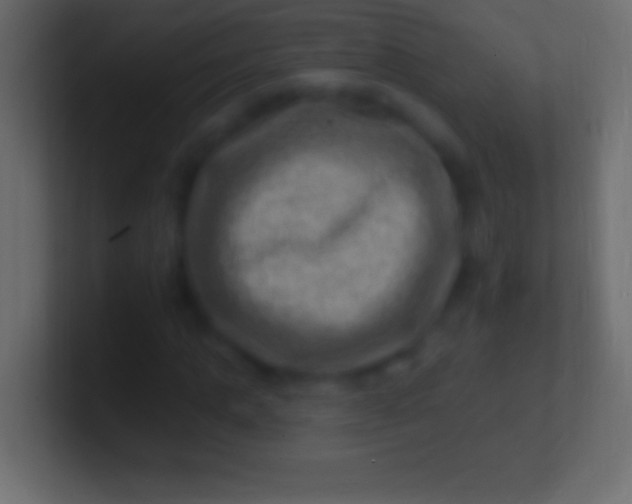 X0000100780821200807031229