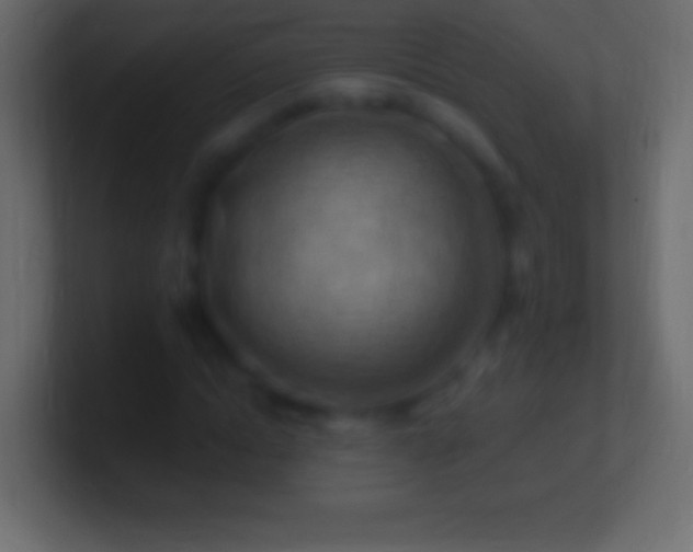 X0000100780822200807031229