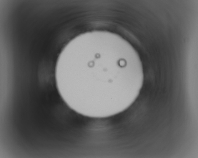 X0000100780824200807031229